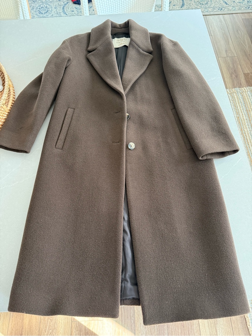 Aritzia The Only Coat